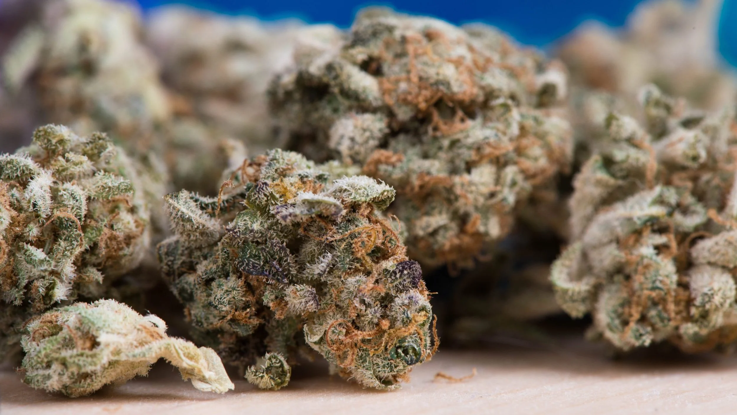 Why Organic Cannabis is the Healthier Choice: Discover the Benefits at Green Health Eugene