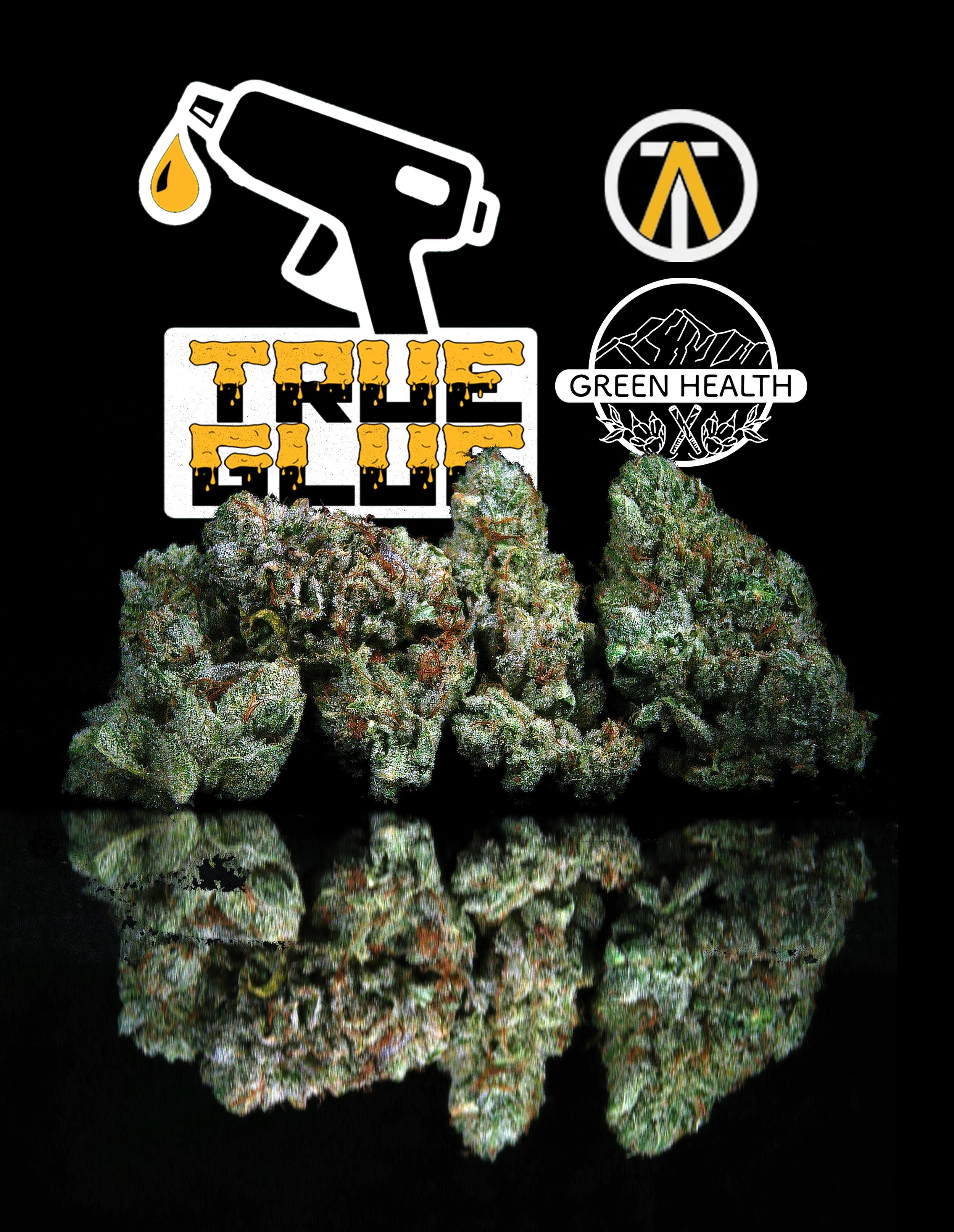 Strain Spotlight: True Glue by TAO Gardens (30.40% THC)