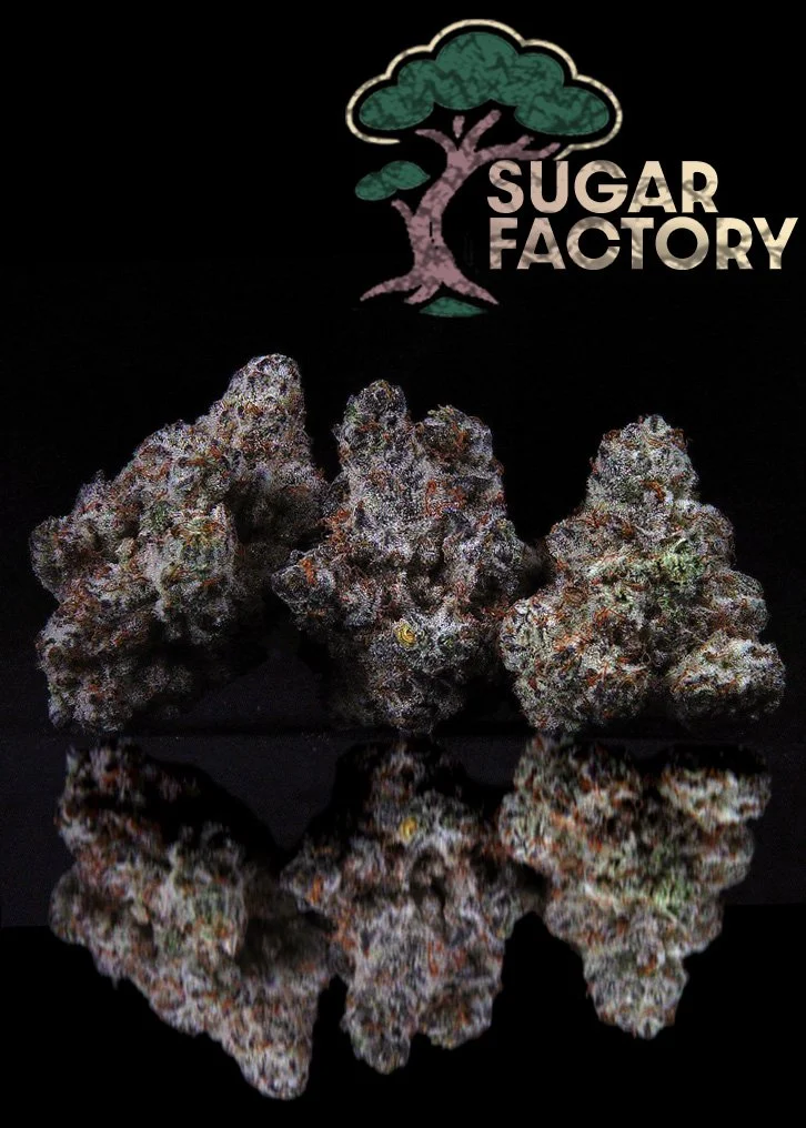 Sugar Factory (Bonsai) — Strain Spotlight | Green Health Eugene Dispensary on Highway 99