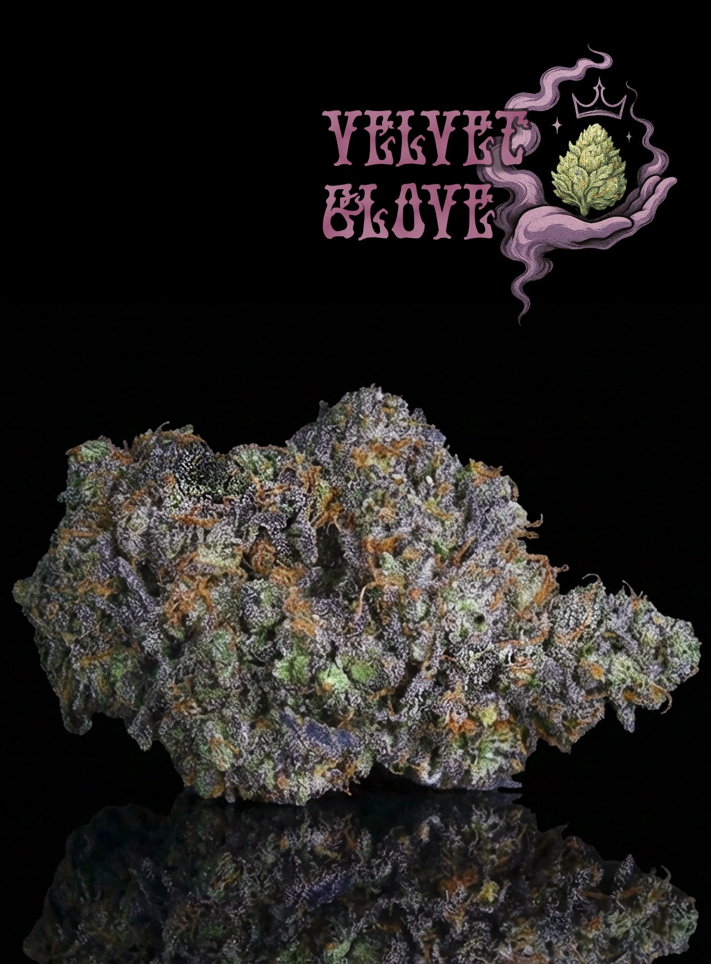 Close-up of a cannabis bud with purple, green, and orange hues against a black background. The logo 'Velvet Glove' appears in purple text with a stylized crown above it.