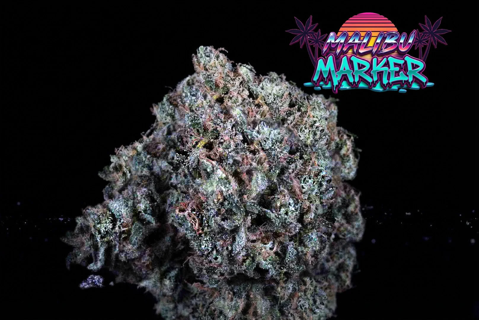 Malibu Marker (Eugreen Farms) — Strain Spotlight (33.3% THC)