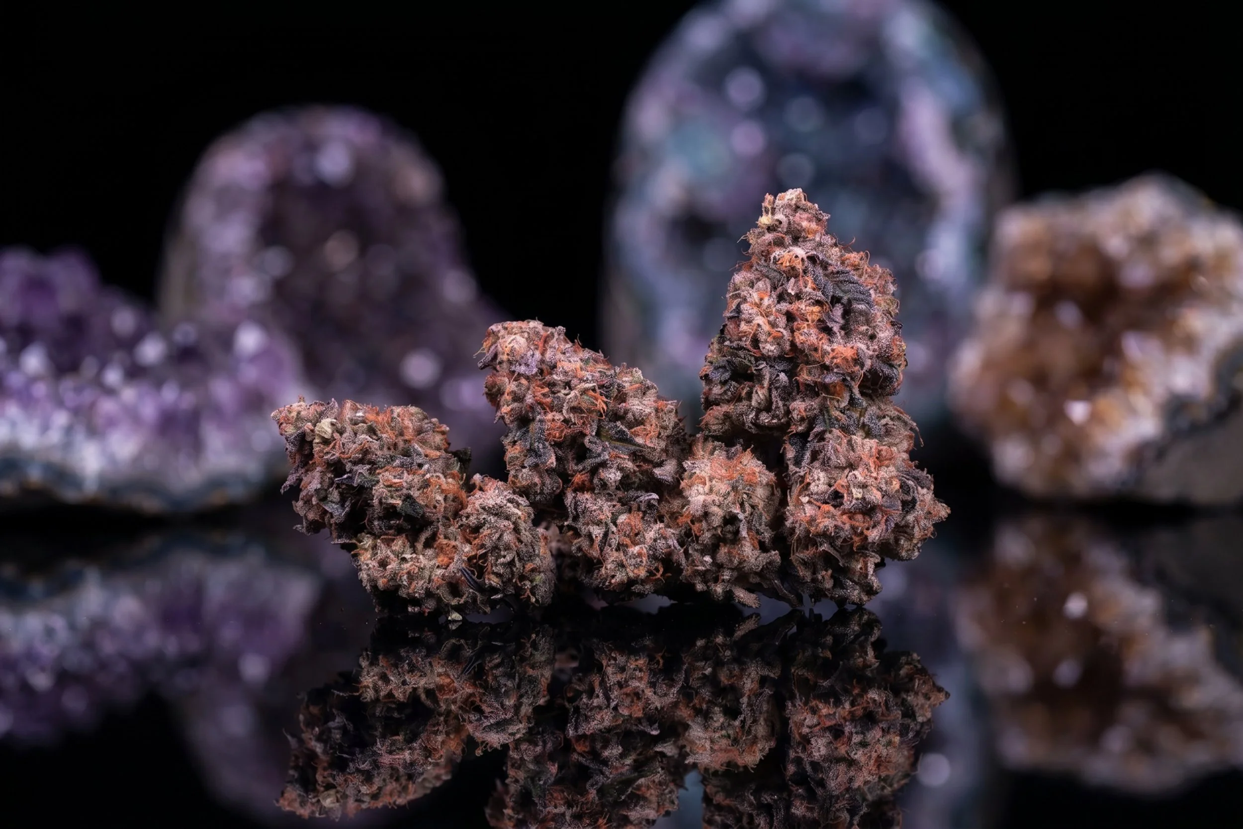 Chem Dosi by Flyte Co: A Living-Soil Strain Review from Our Counter