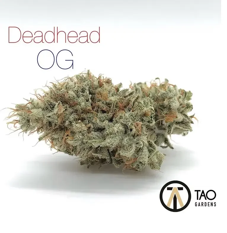 Tao Gardens no-till Oregon cannabis flower — close-up of trichomes