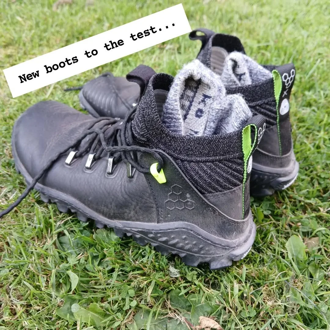 Trying out new walking boots. My last boots squished my toes and made them sore for days.

These ones are less rigid, have more space for toes to wiggle, are flat and flexible to feel the ground.

They passed the test. A successful walk. Coped with t