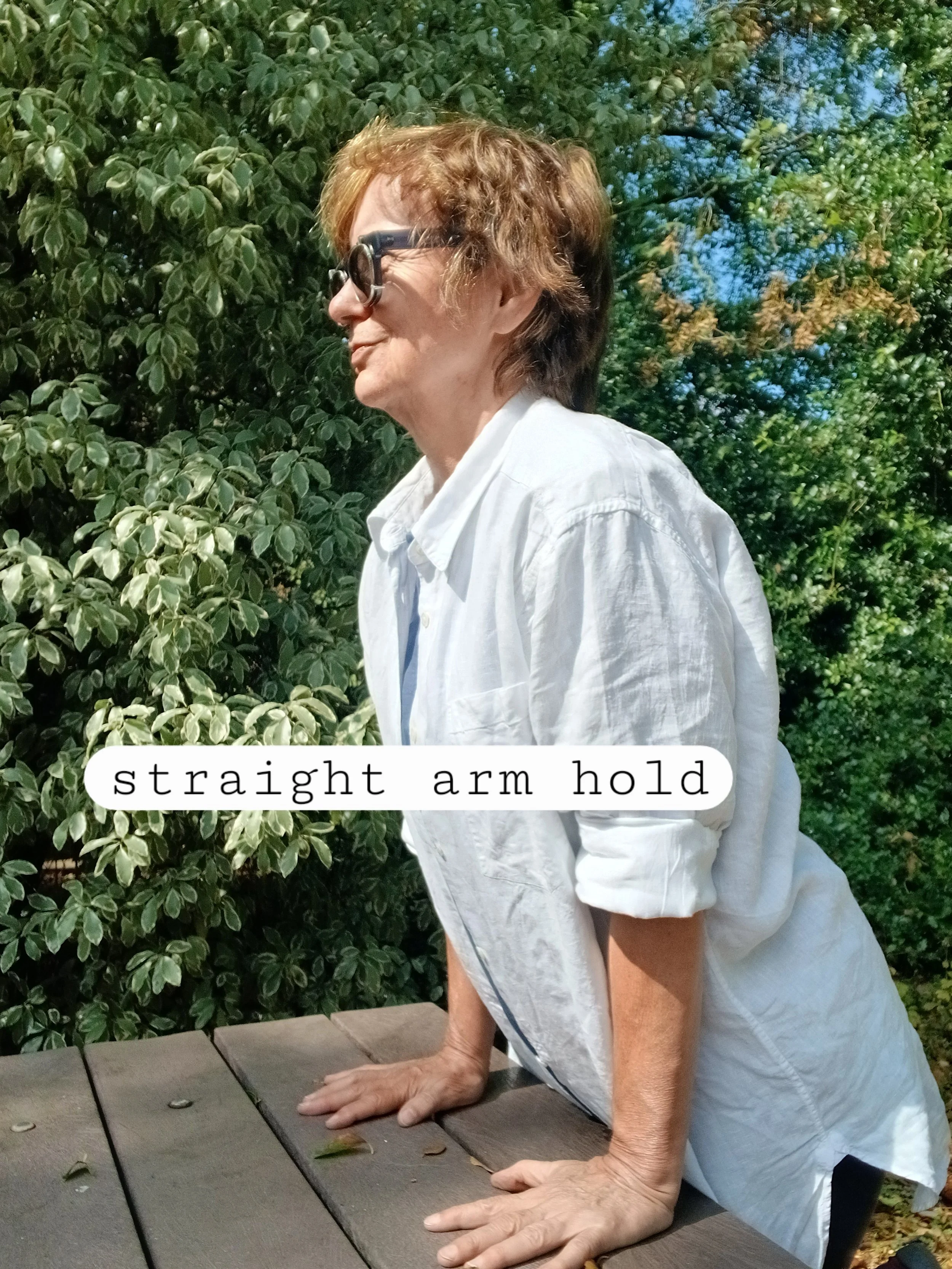 6_Straight_arm_hold.jpg