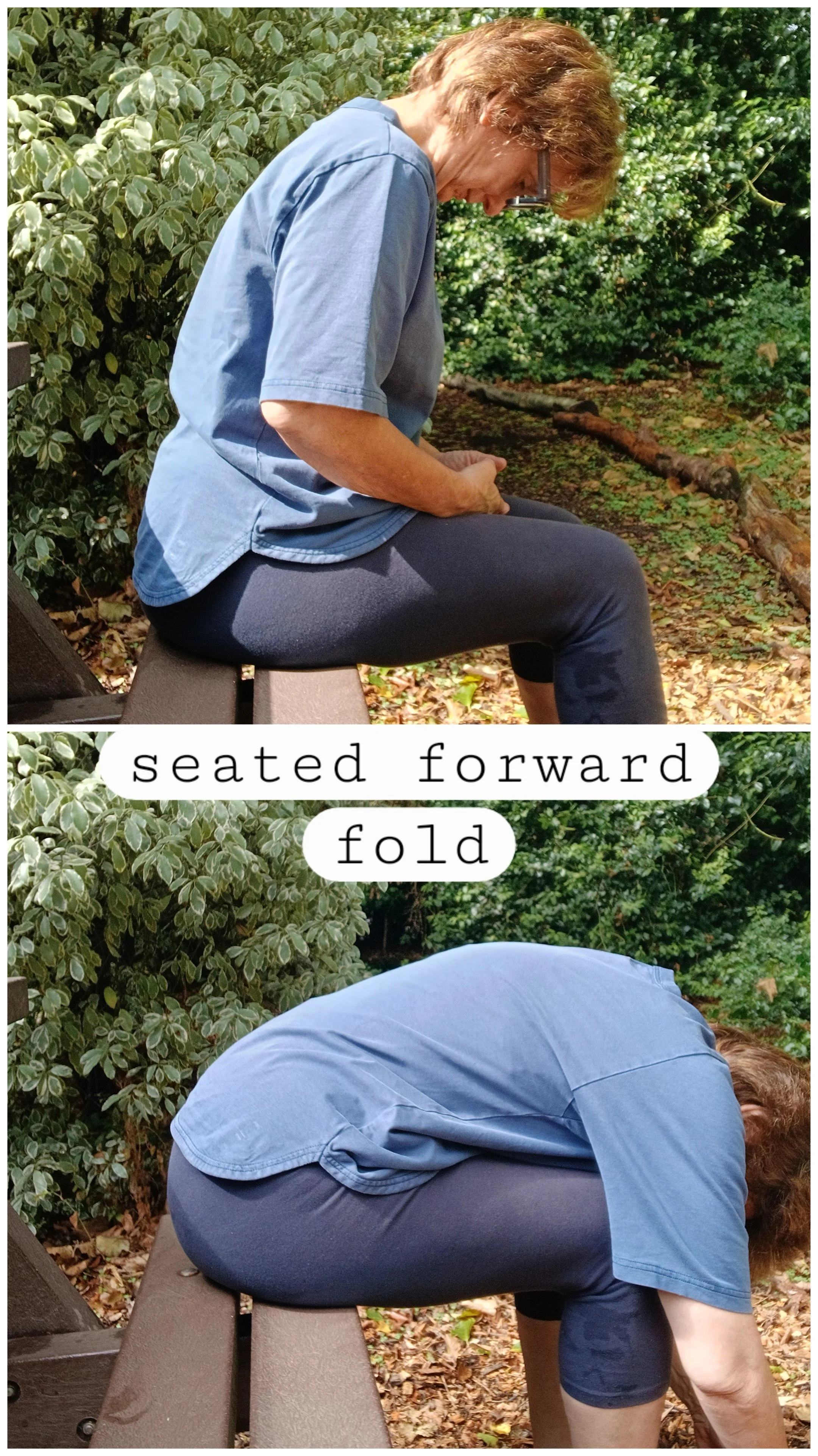 8_seated_forward_fold.jpg
