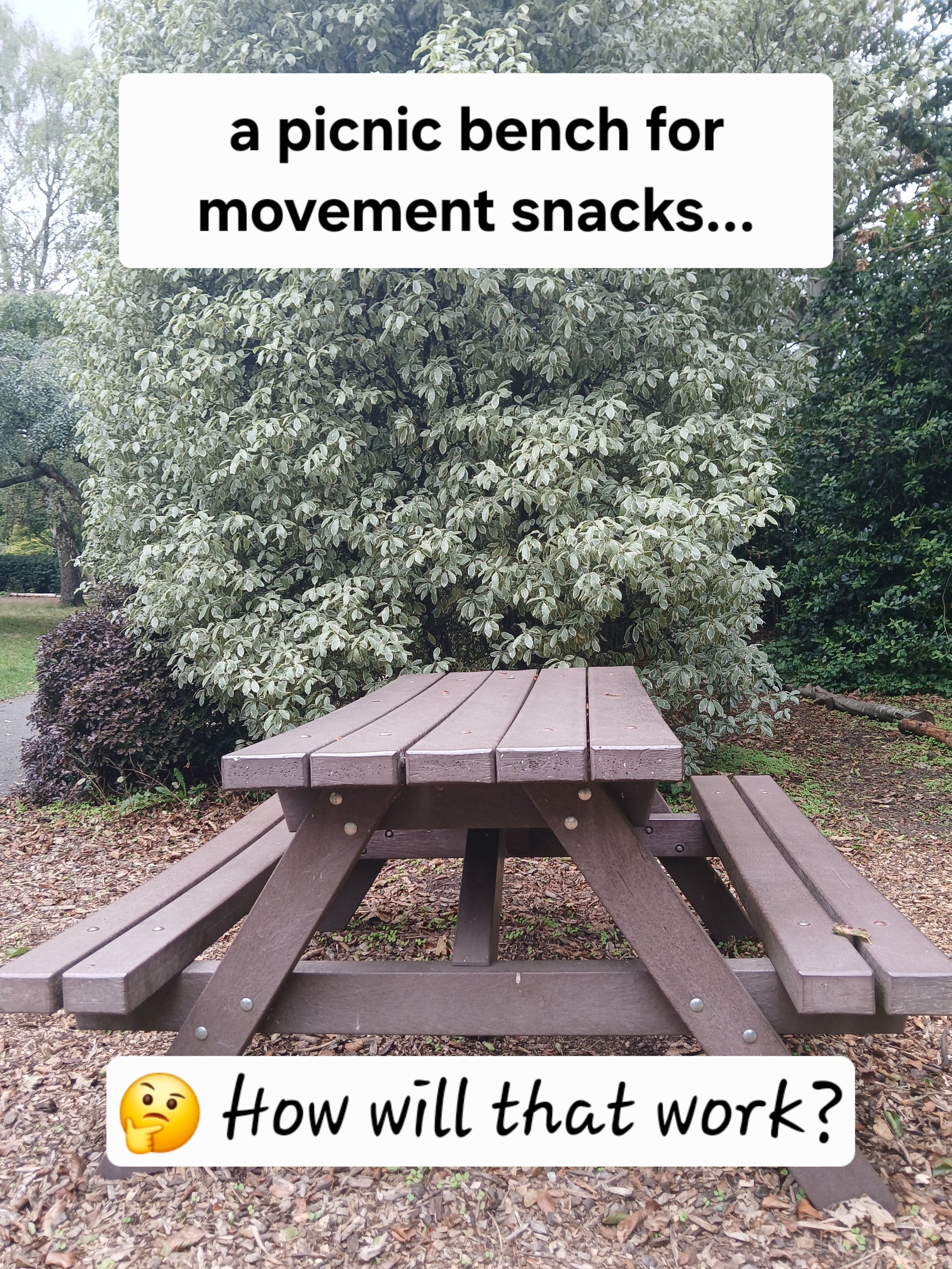 A Picnic Bench + Movement Snacks - How Will That Work?