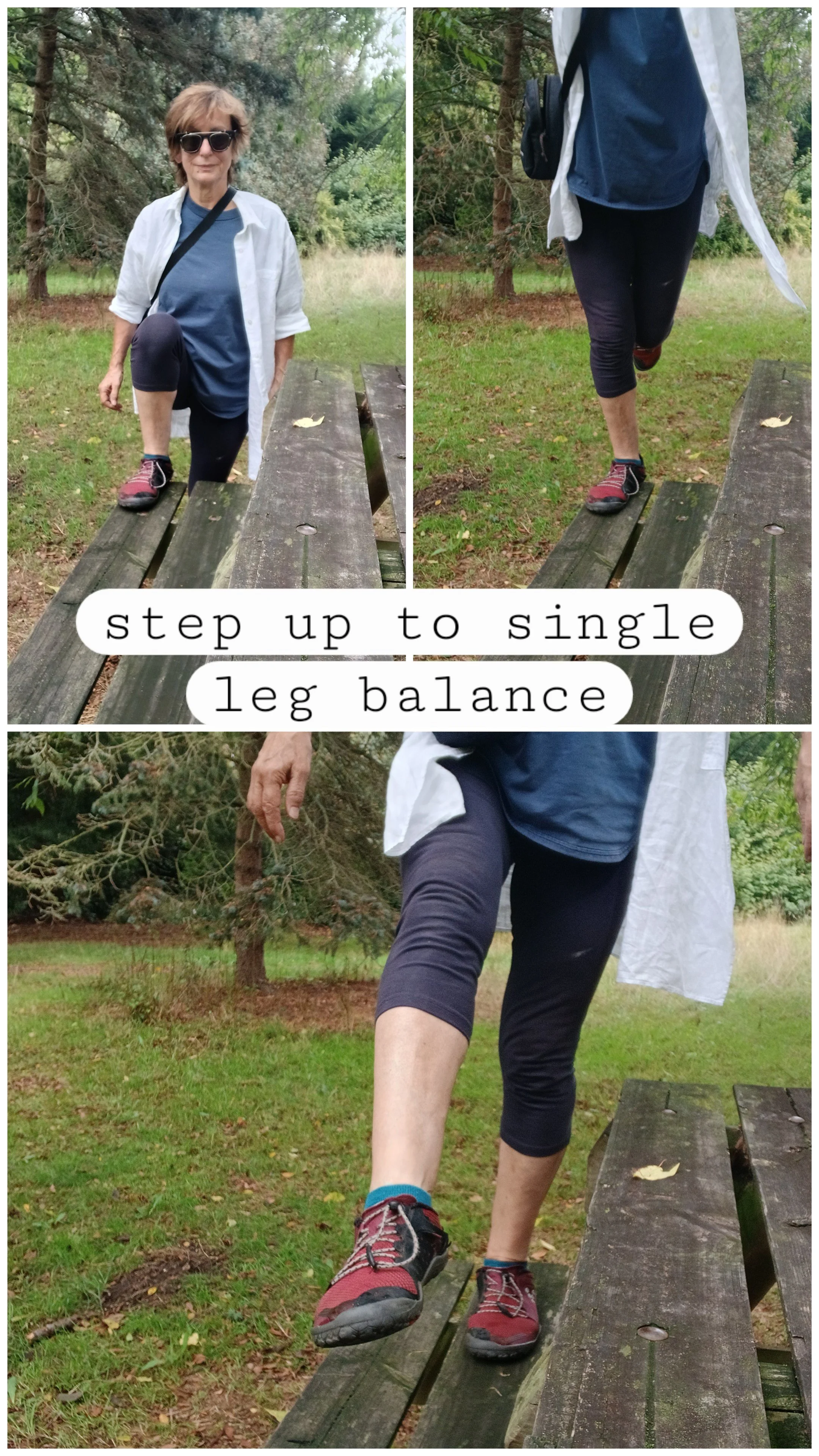 16_step_up_singleleg_balance.jpg