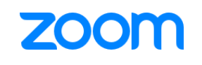 avitor-zoom-logo.png