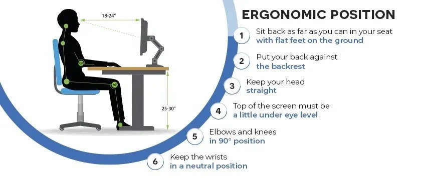 Proper Work Position Ergonomics: How to work properly — AVITOR