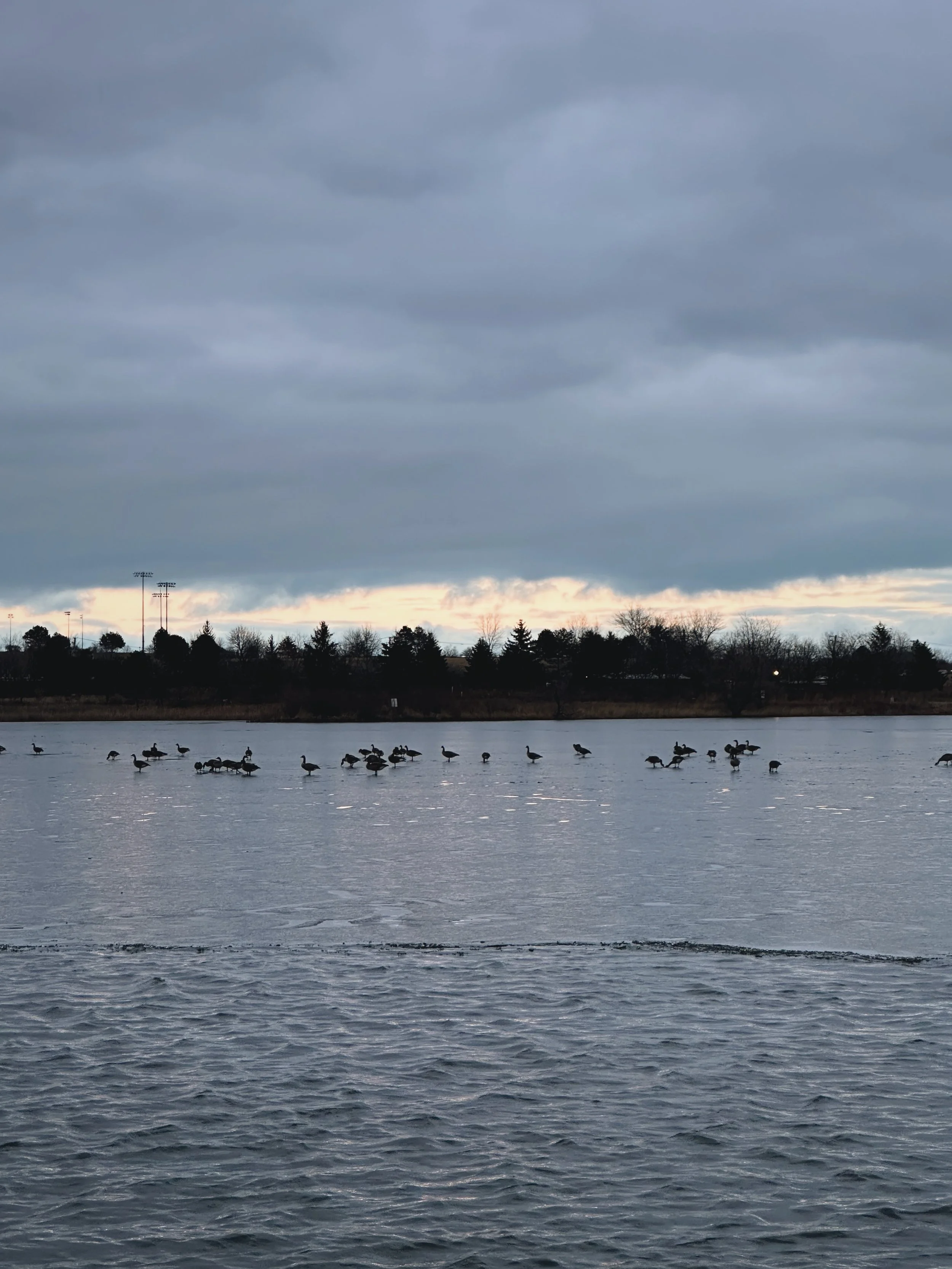 Heavy Migrations