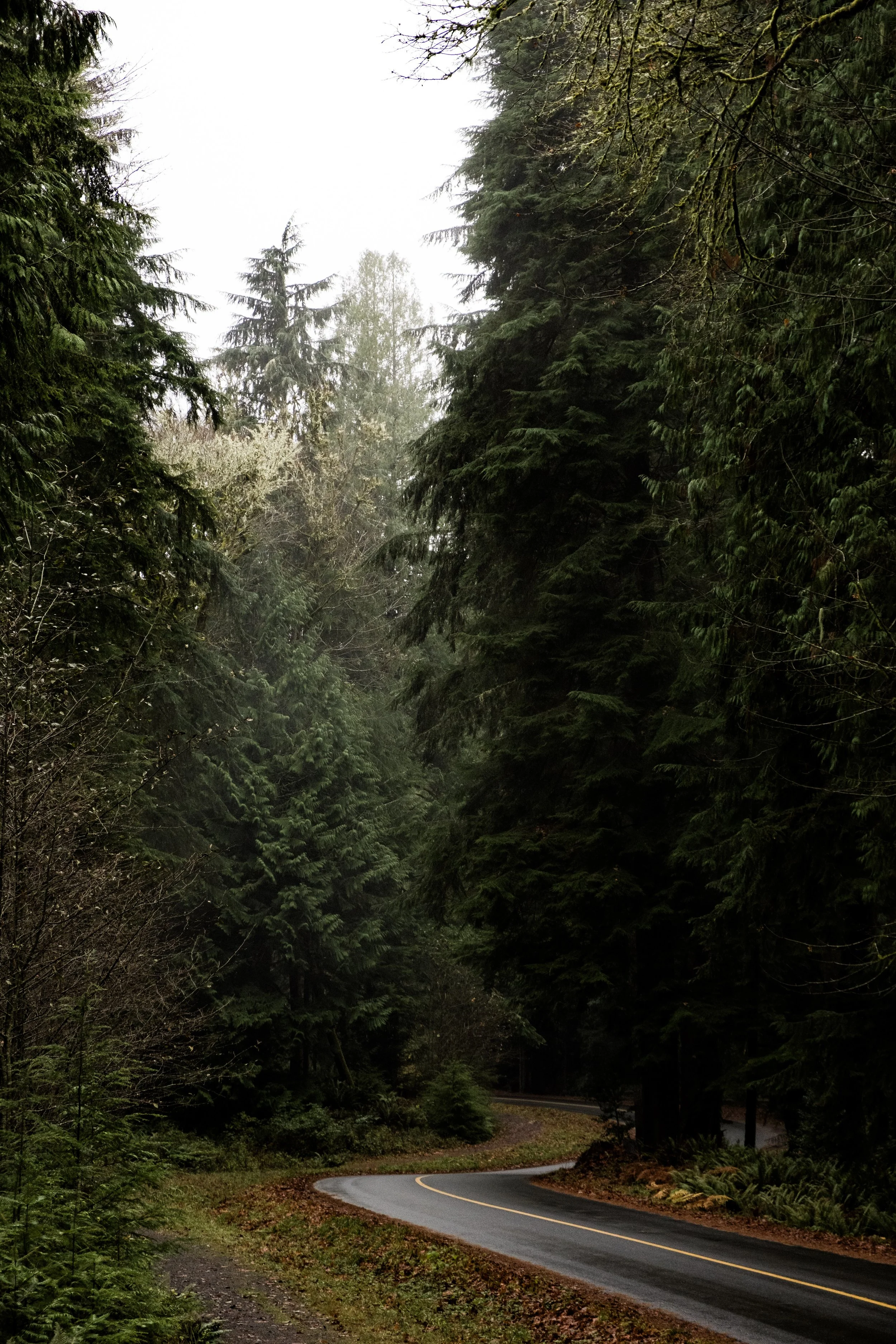 PSX_20251116_170650.jpg