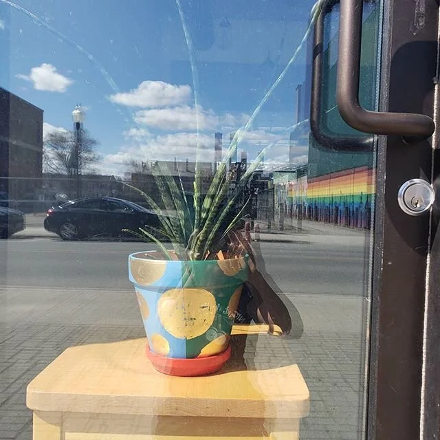 Sansevieria from @plantgoalsptbo, clay pot art by @nicoleconboy, stool from @localecontractseating !