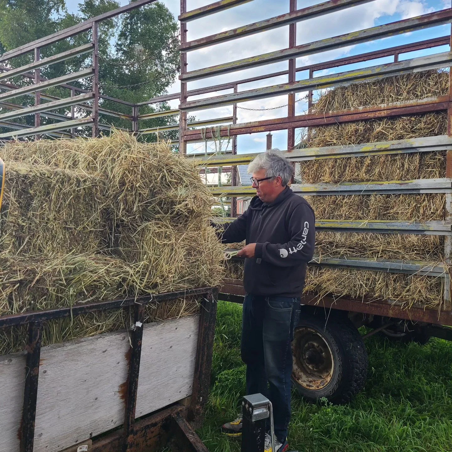 NK will be closed today - Saturday September 2nd - to get the last of the hay in the barn! Happy long weekend Ptbo. #weirdwethayseason #hay #dayoff