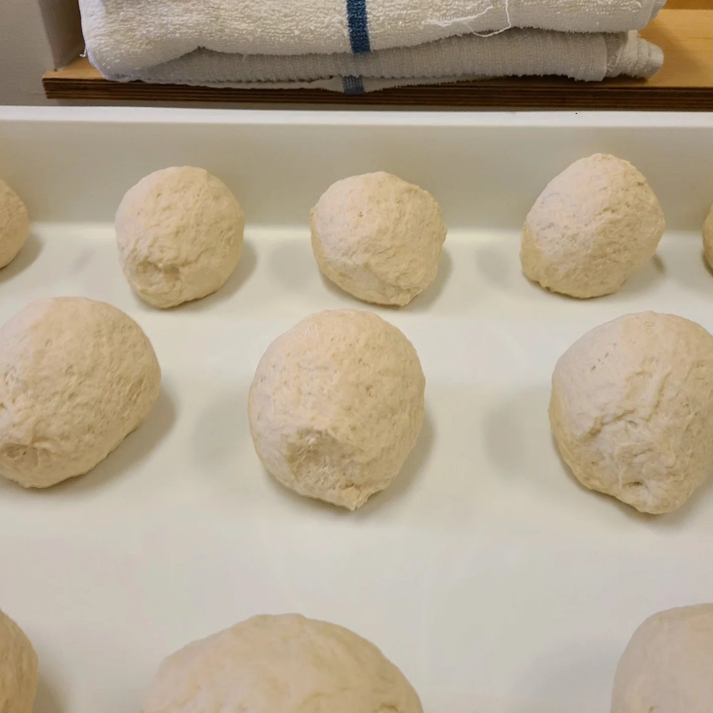 #doughballs #blusteryday #freshlinen #p&acirc;te&agrave;pizza #nowtheysit