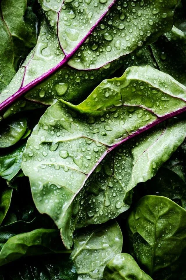 salad.jpg