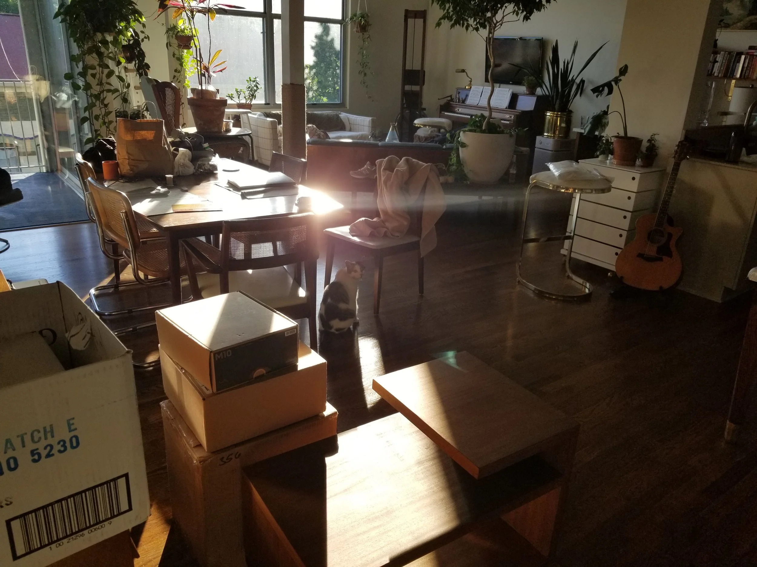 20190613_193521.jpg