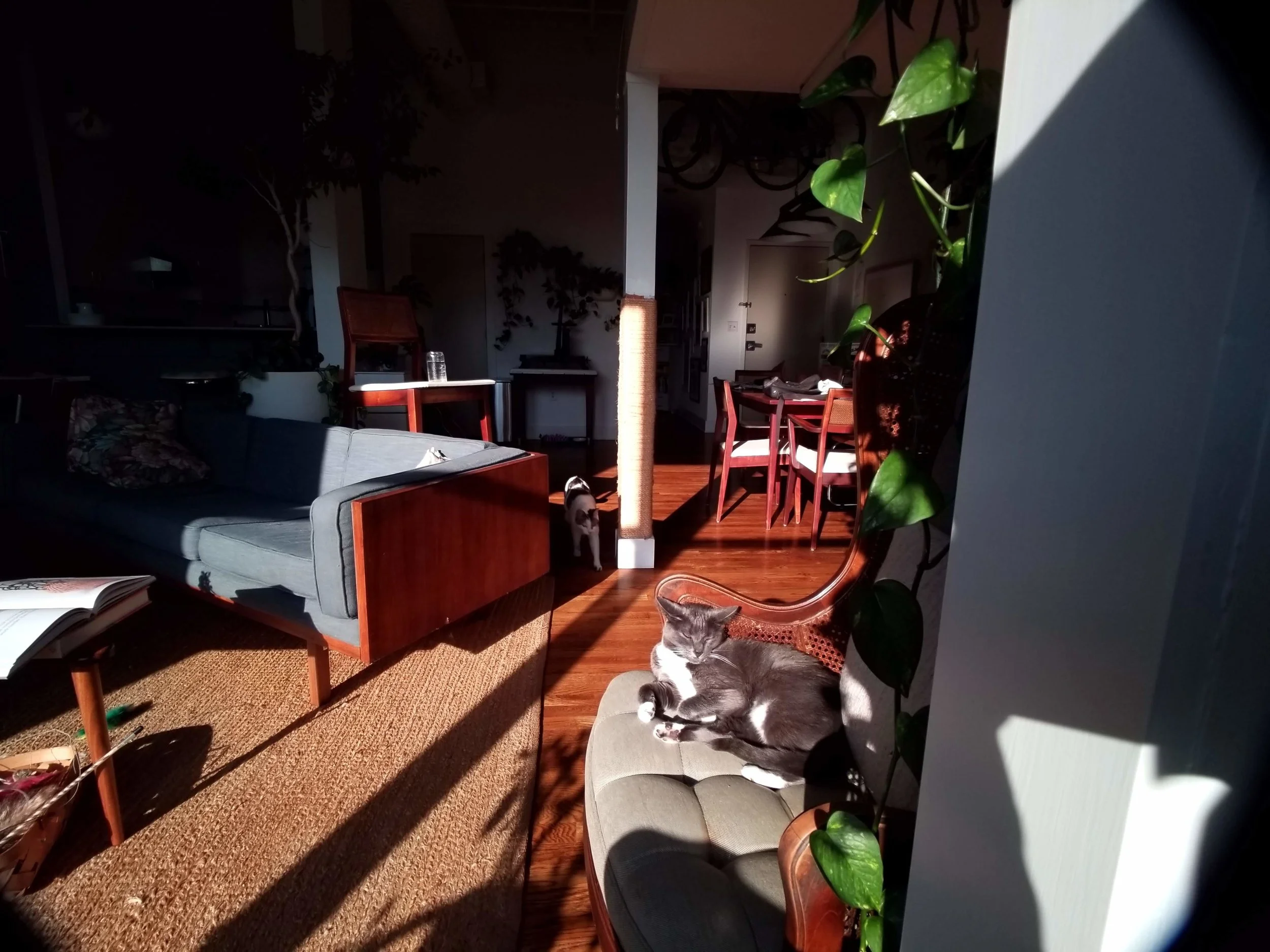 20190628_185116.jpg
