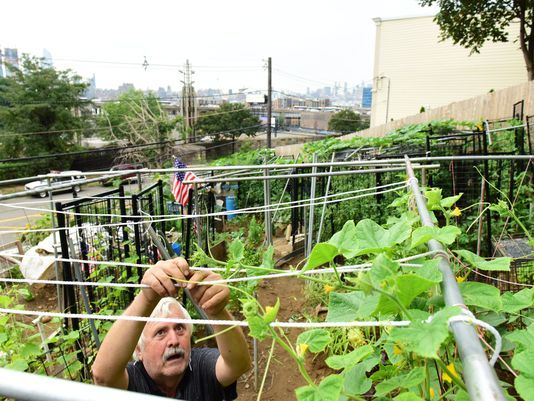 Lincoln Tunnel Farmer.jpg