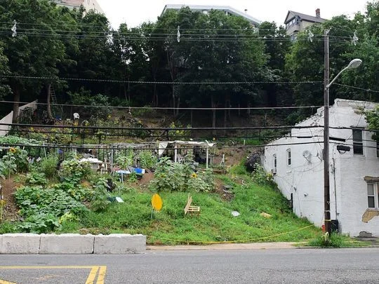 The farm in Weehawken is dug into the steep slope of the Palisades cliffs. Township officials say the work undermines the soil and causes mudslides, threatening the stability of homes on the hill. Photo: Tariq Zehawi/NorthJersey.com