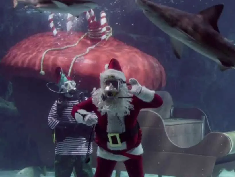 scuba_santa.jpg