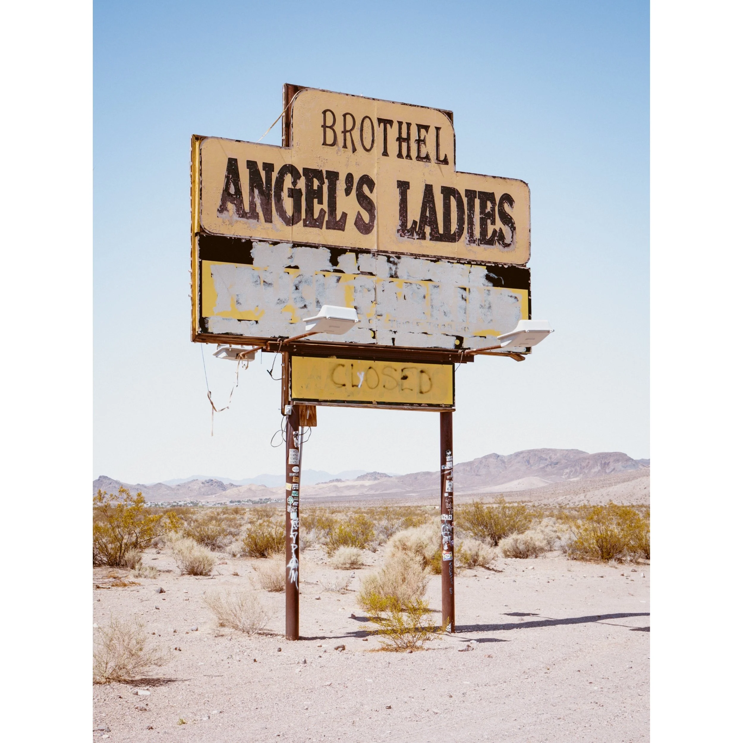 8x10 photo print: Angel's Ladies