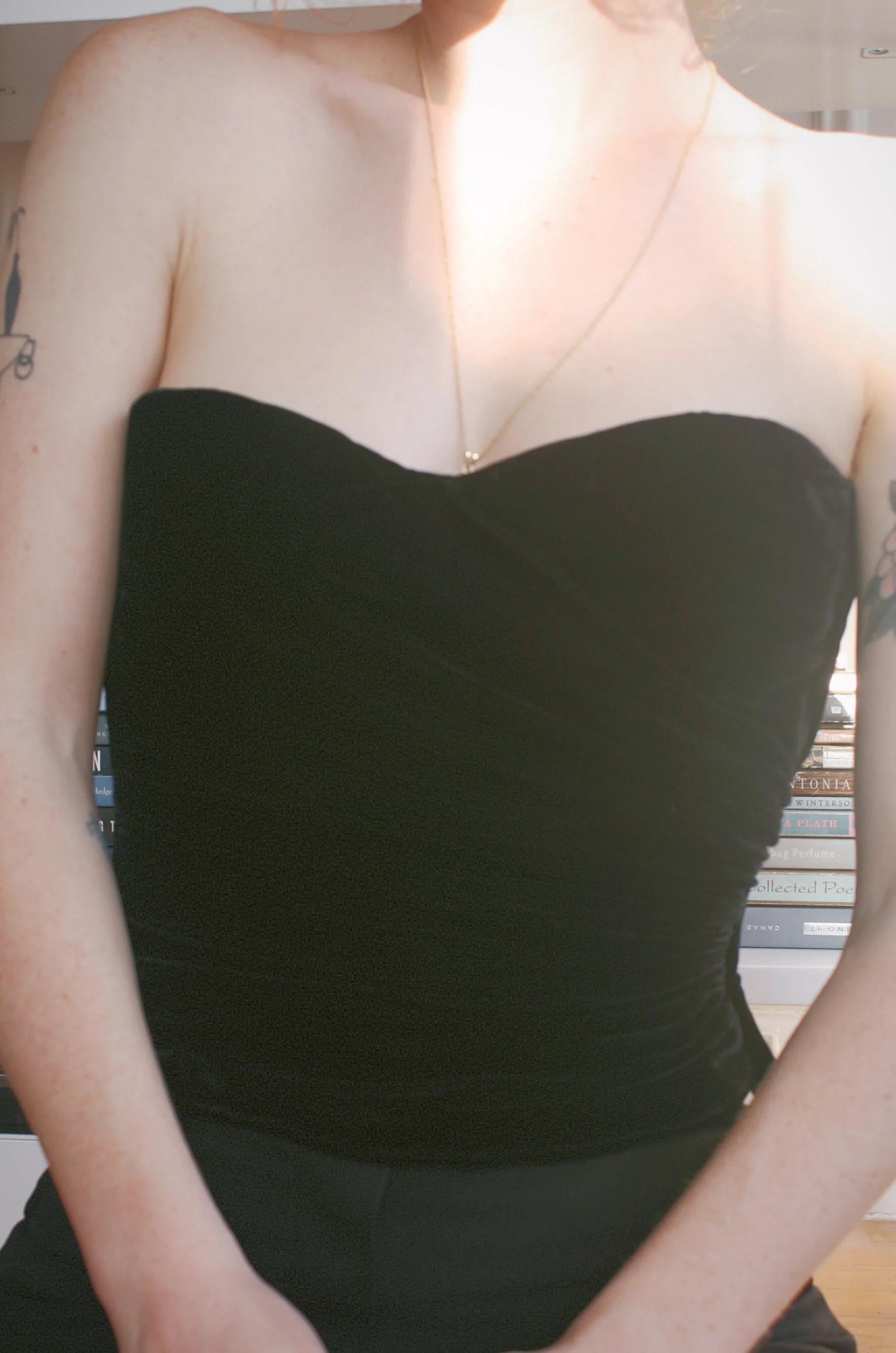 Ungaro Velvet Bustier