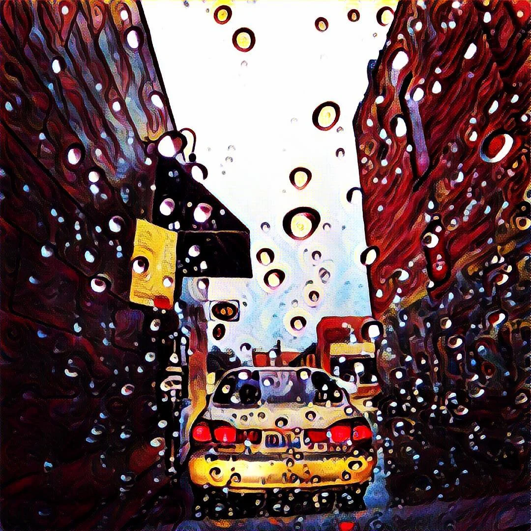 13651756_1074114265956924_1584910654_n(1).jpg