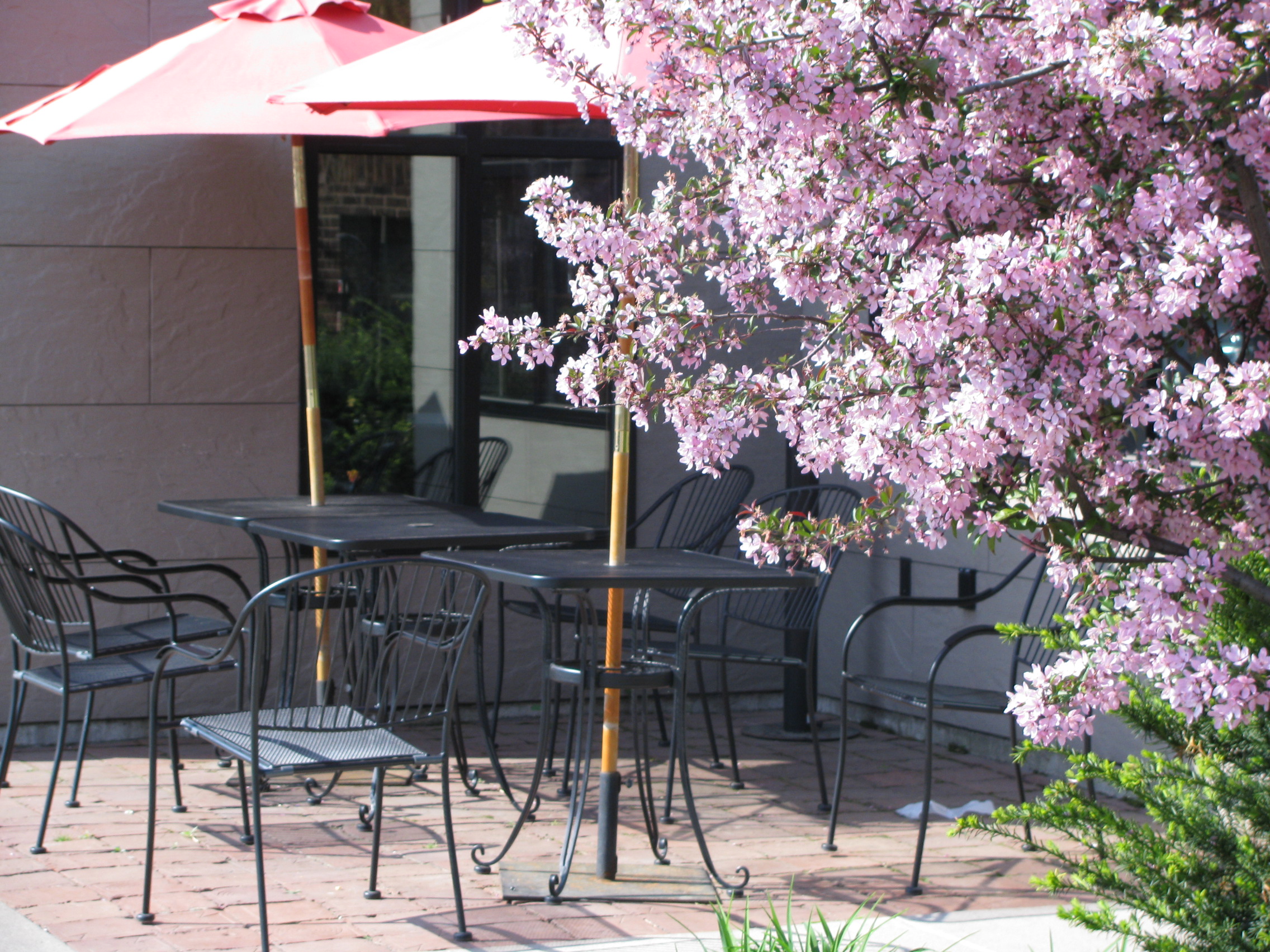 Patio 2.jpg