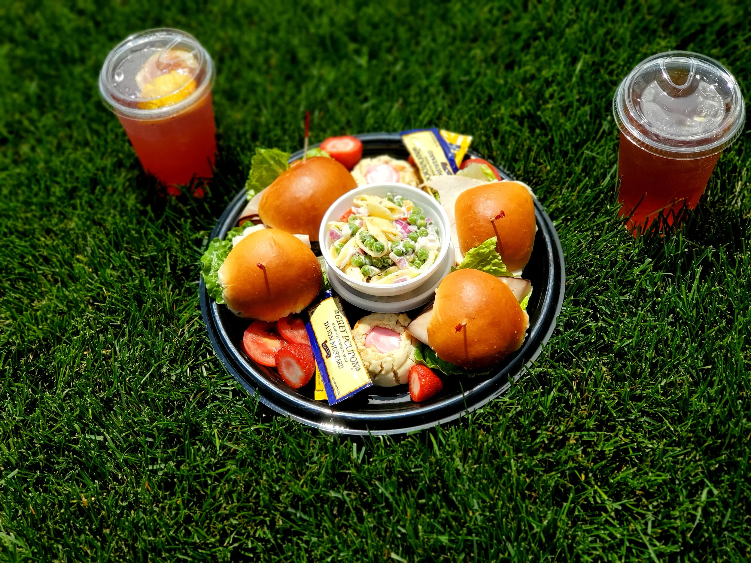 picnic tray on grass.jpg