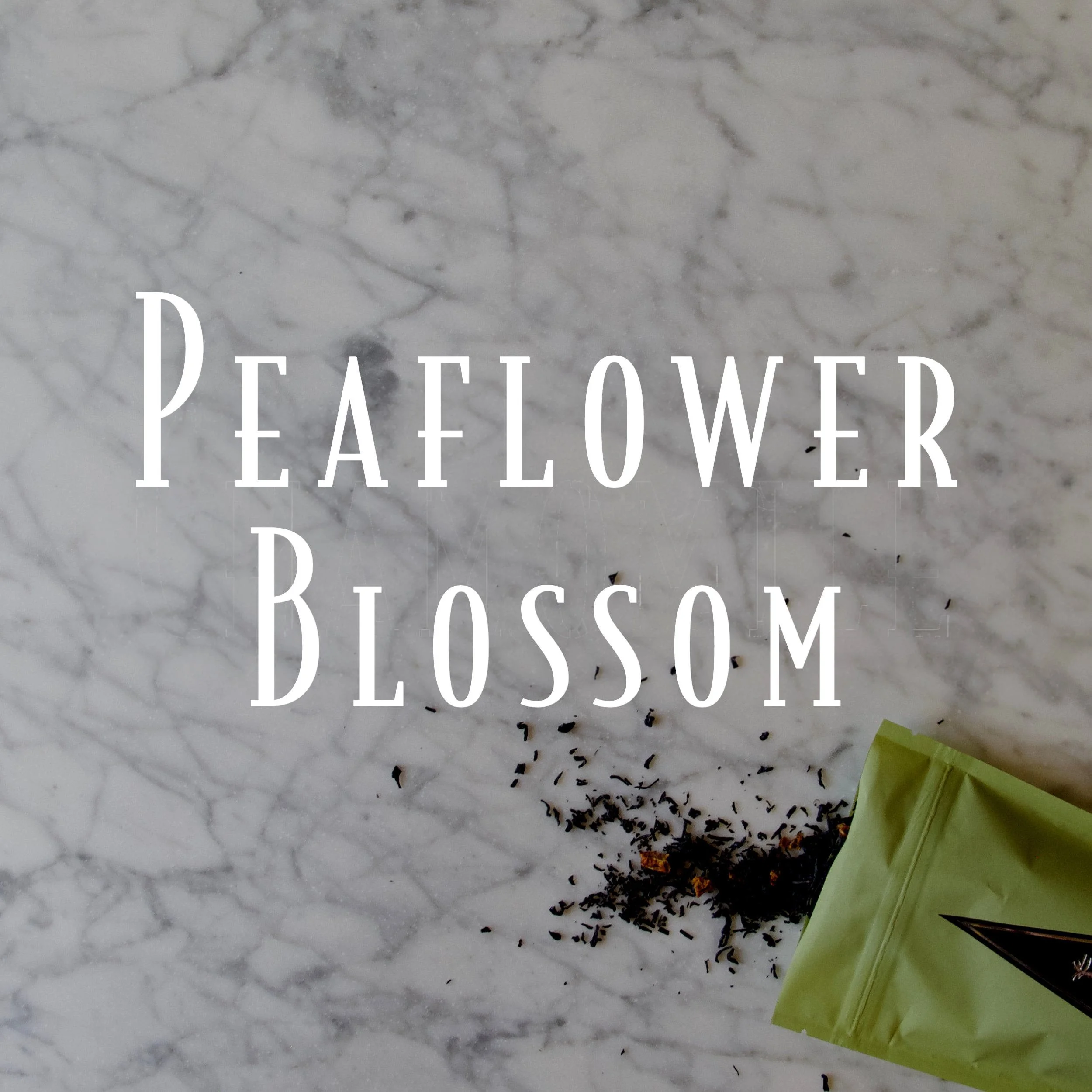 peaflower blossom.jpg