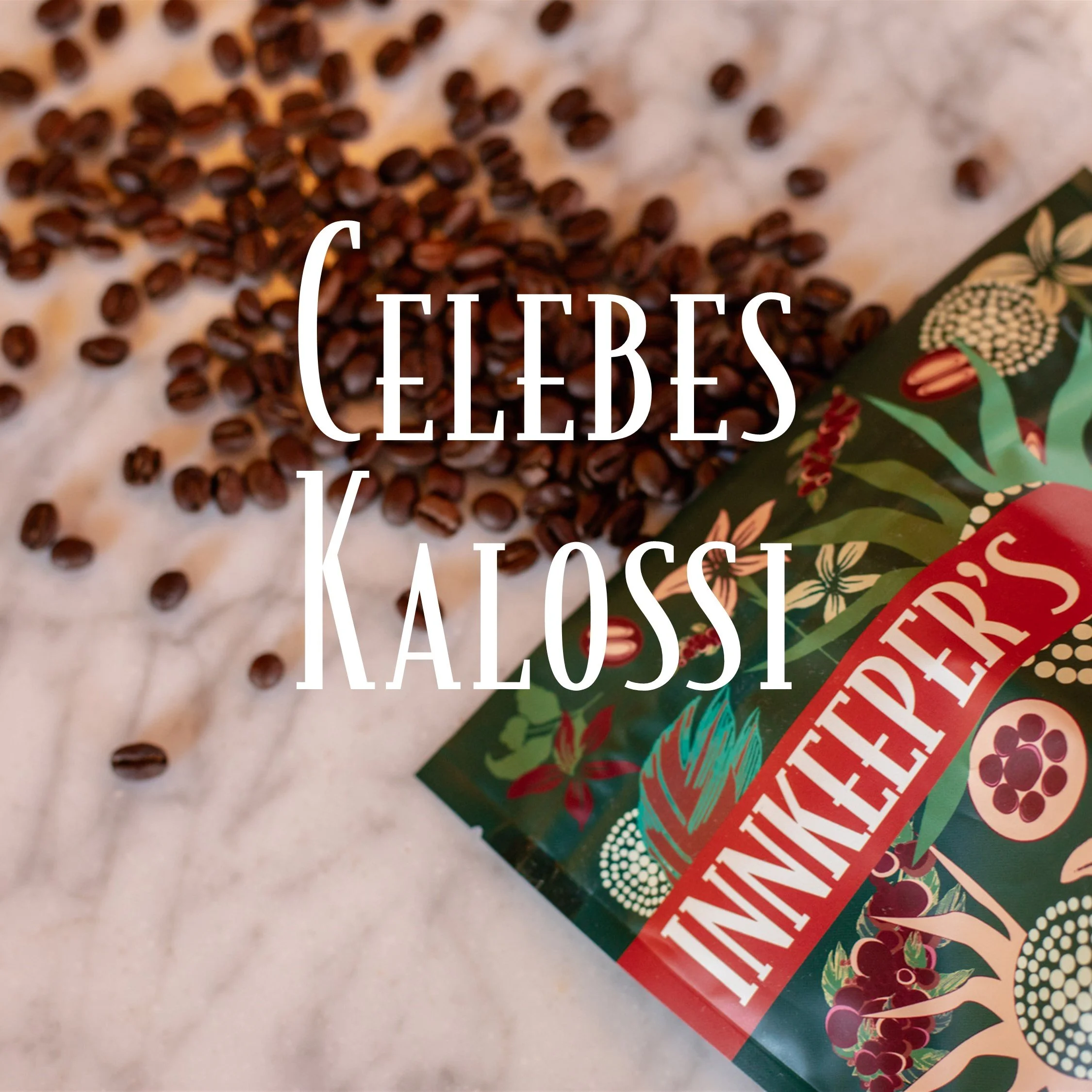 Dark - Celebes Kalossi.jpg