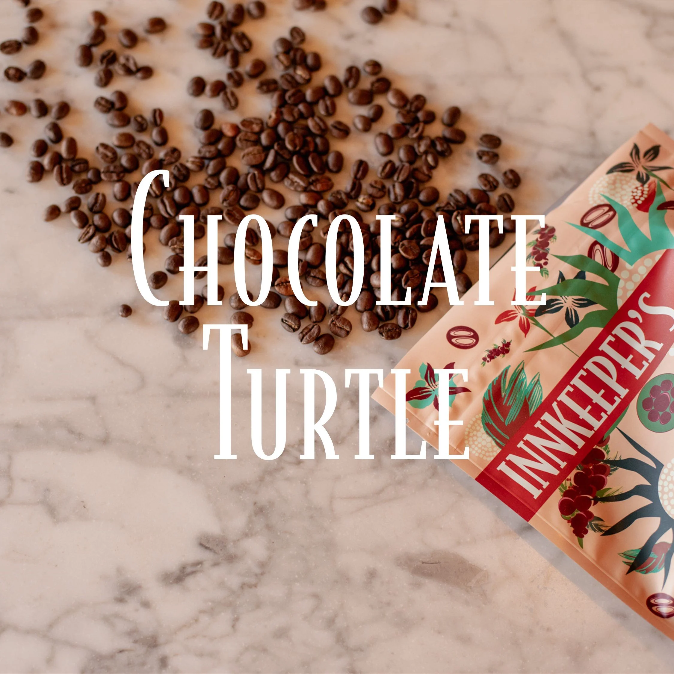 Chocolate Turtle