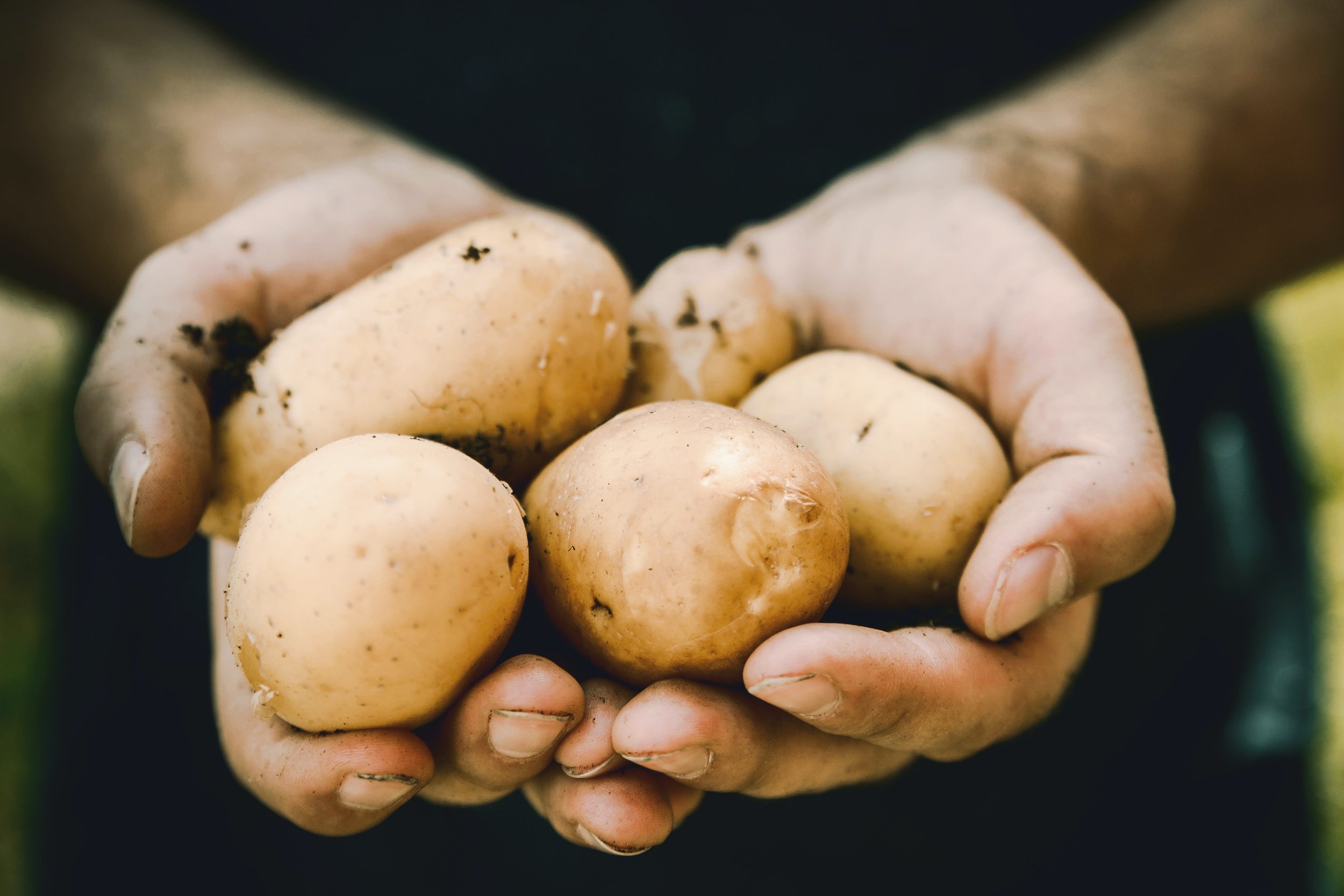 Famous Idaho Potato Marathon