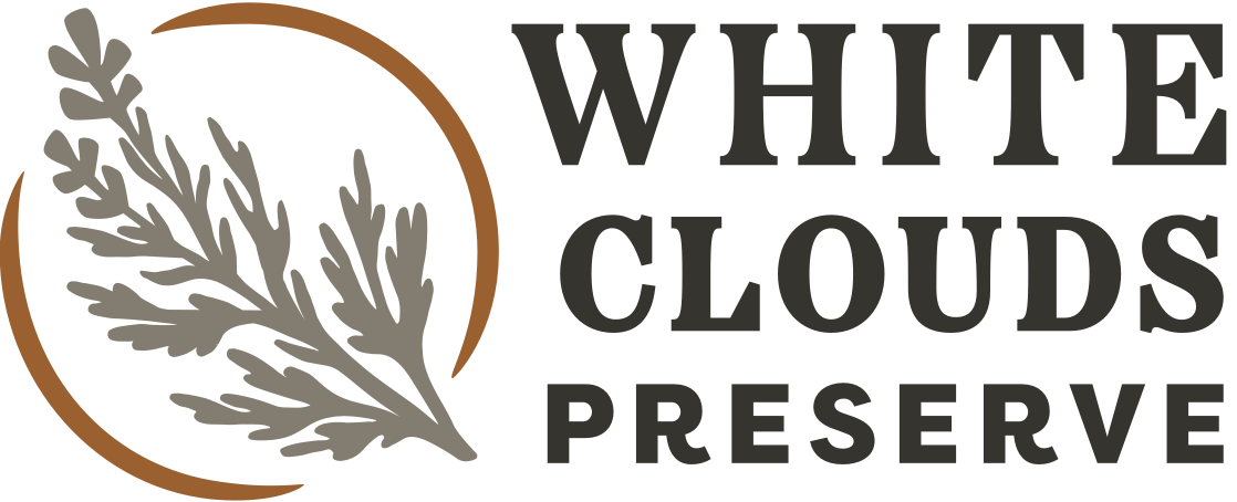 WCP main Logo.png