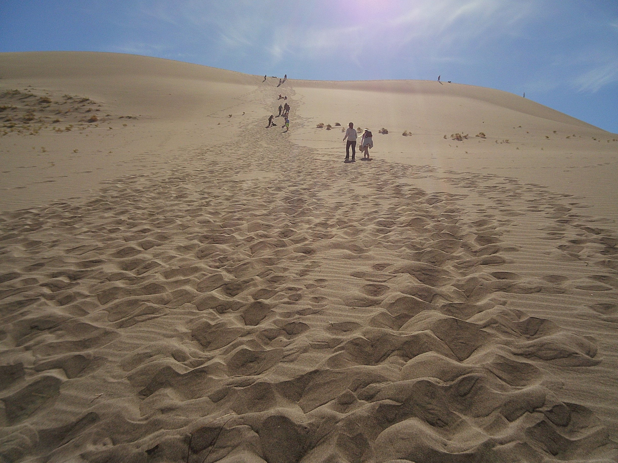 DSCF0028.JPG