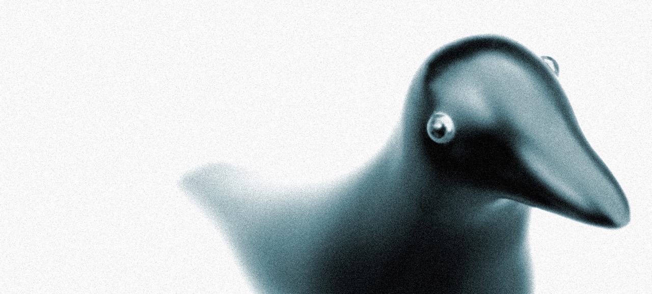 Releases-Bird.jpeg