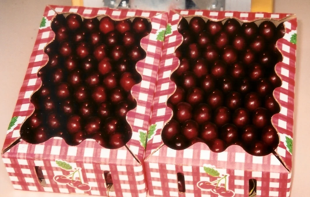 FACED CHERRIES IN A 2 KG BOX