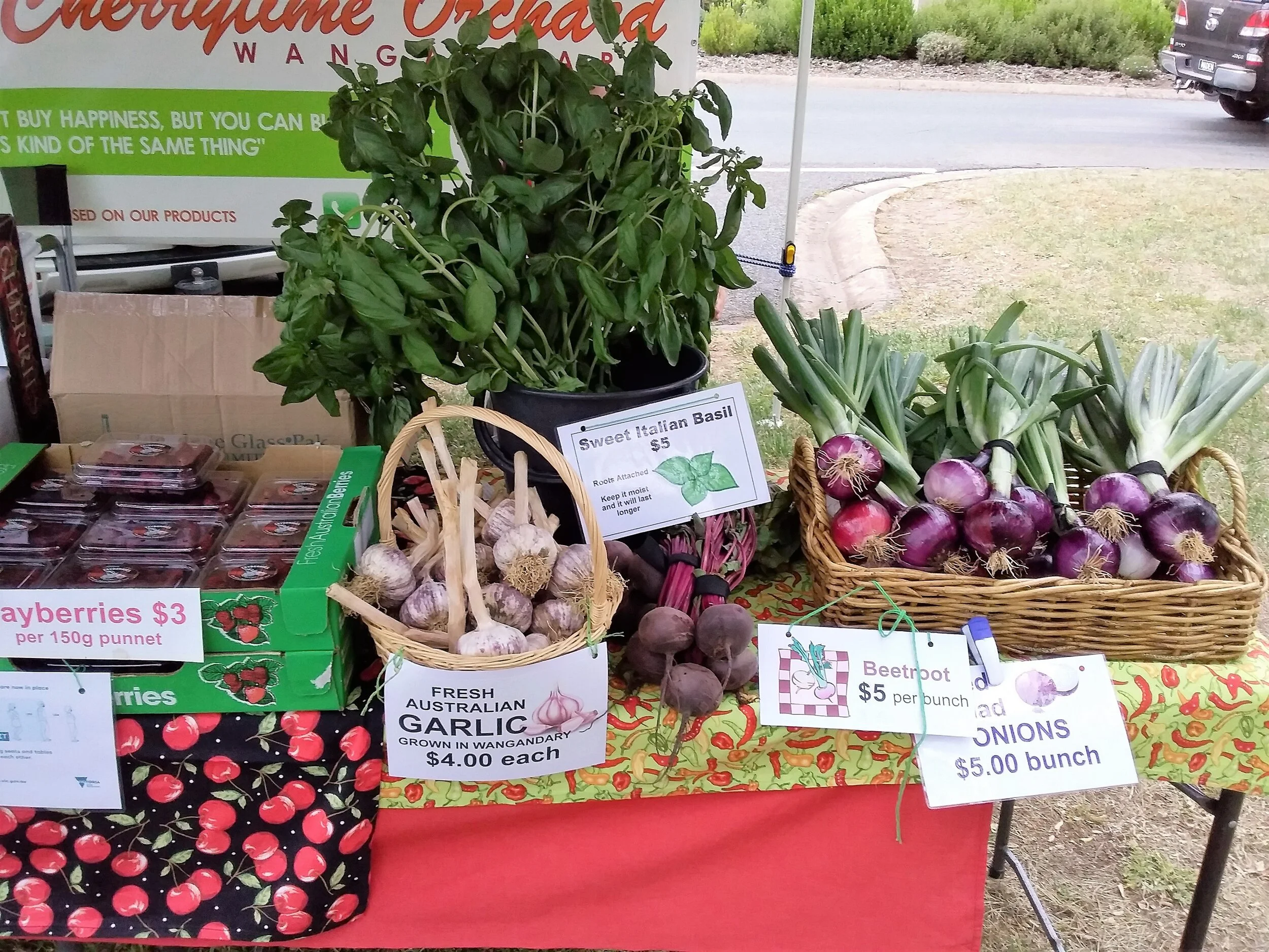 Rothergle 2020 03 (2).jpg