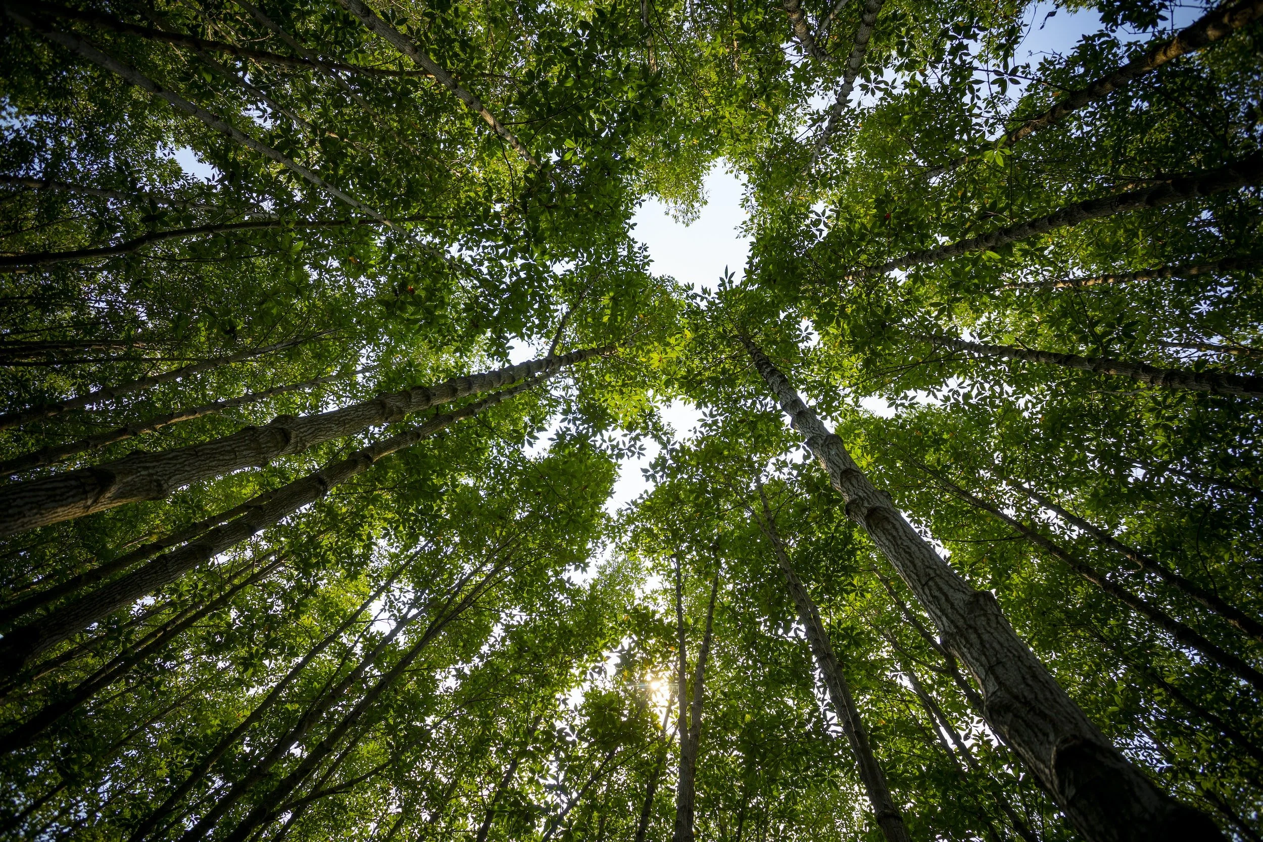 unsplash-image-2sZfng0wzVA.jpg