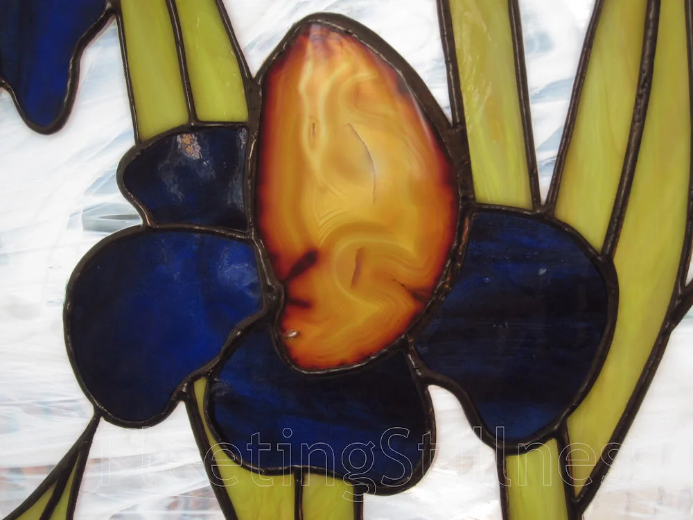 15_4_irises_5_small.jpg