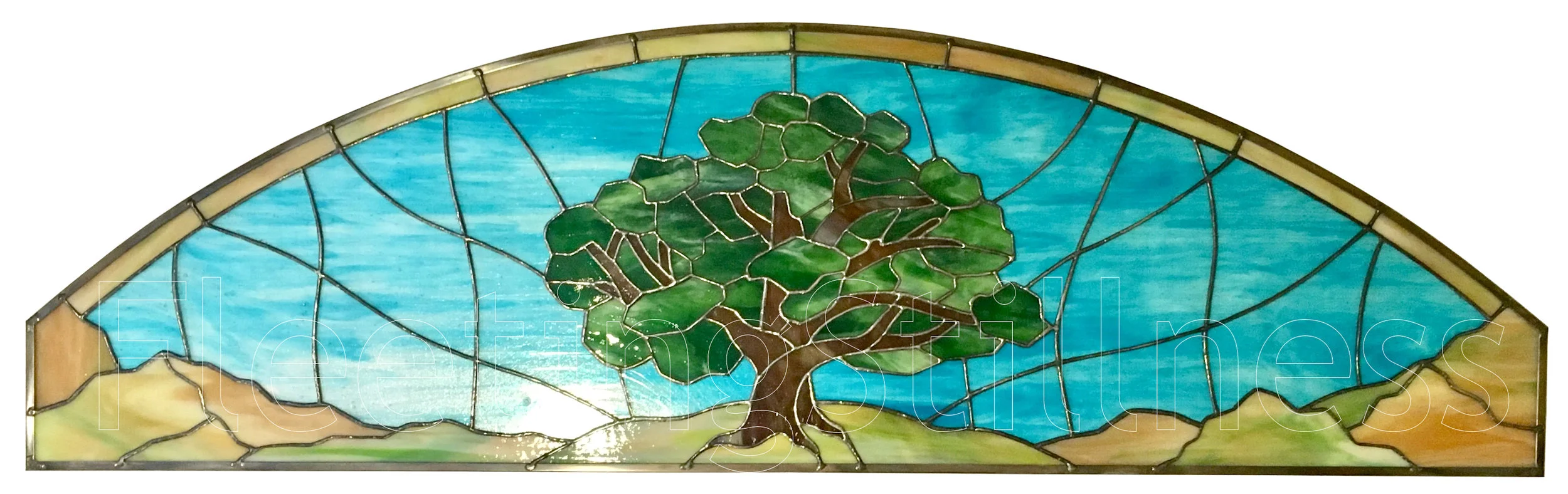 371_treeTransom_1a_small.jpg