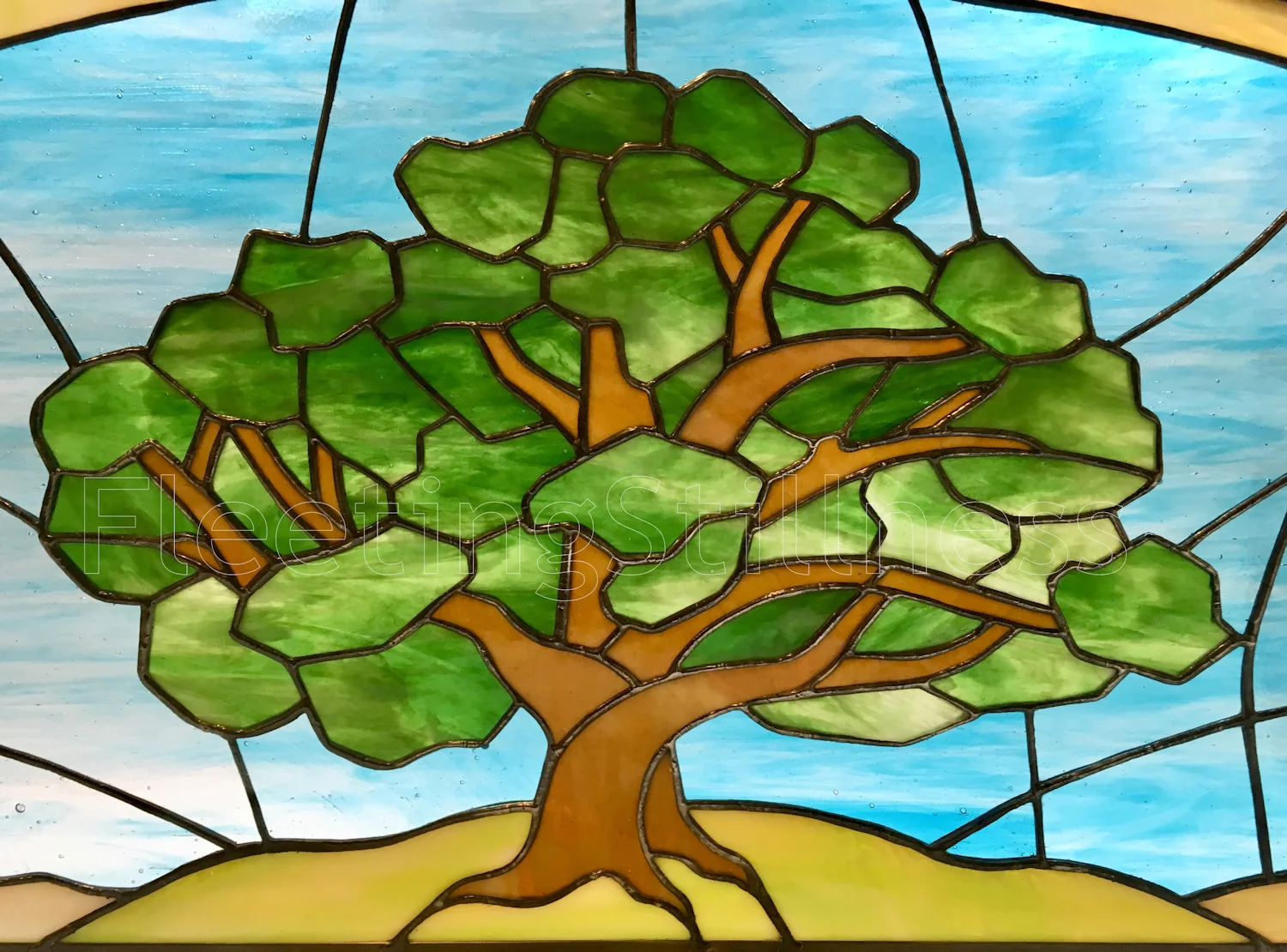 371_treeTransom_3a_small.jpg