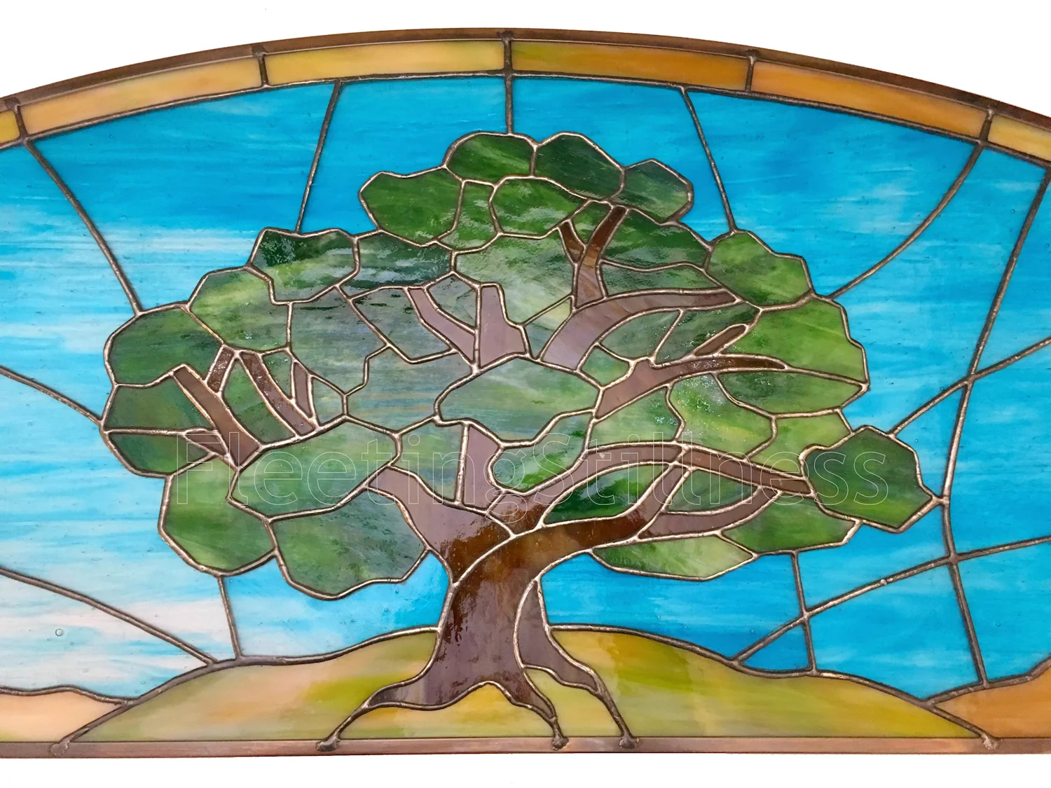 371_treeTransom_5a_small.jpg