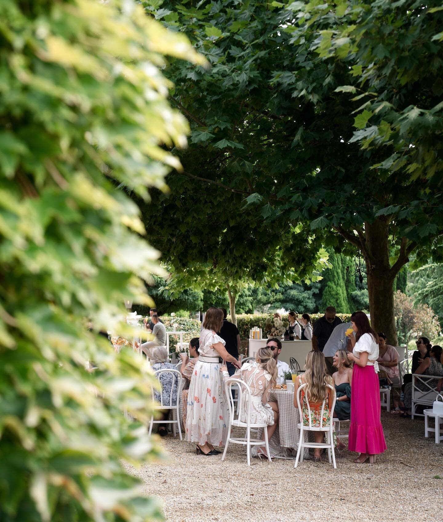 Recovery brunch 🥂

Photography @anemotionweddings 

#sydneywedding #sydneyweddings #sydneyevents #sydneyevent #recoverybrunch #sydneyrecoverybrunch #huntervalleywedding #huntervalleyweddings #huntervalleystylist #redleafweddings #redleafwedding #syd