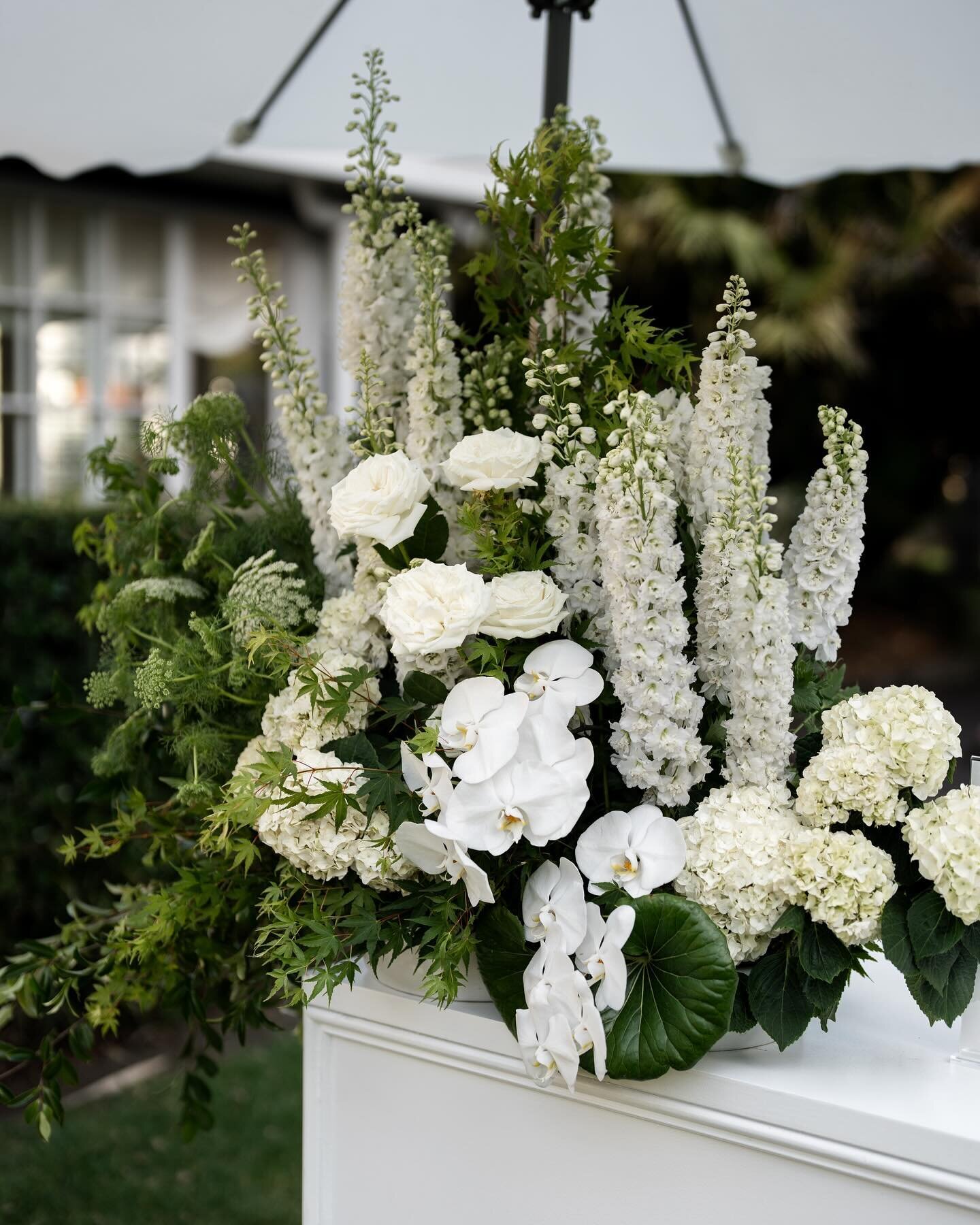 Cocktail hour in the garden for Cassie &amp; Baki @chiswickwoollahra 🥂

Styling Concept &amp; Design @madelineanne_styling 
Photography @anemotionweddings 
Floral Stylist @_ellebore 
Venue @chiswickwoollahra 

#sydneywedding #sydneyweddings #sydneyw