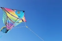 2672696h768.jpg