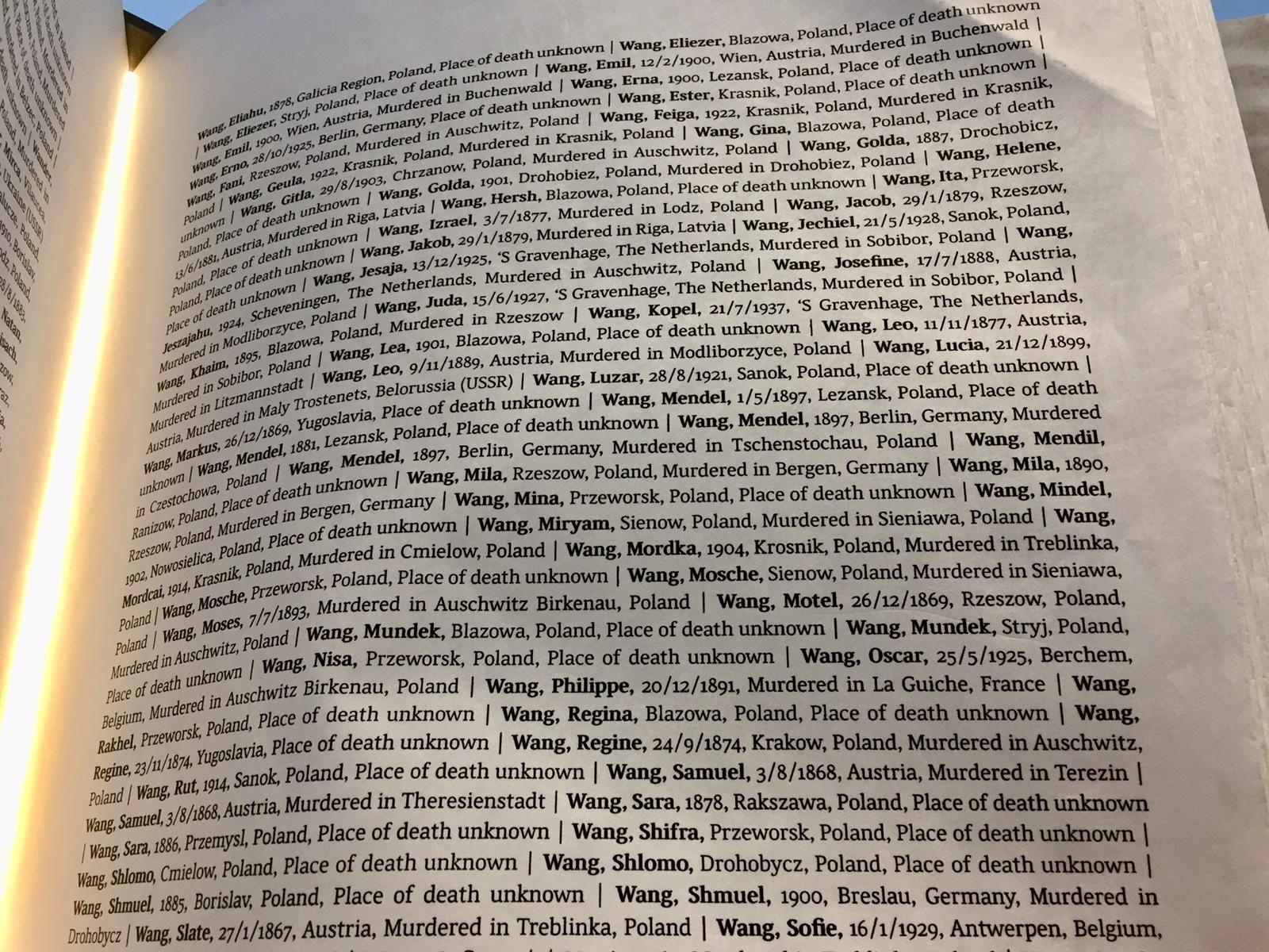 cientos de Wang registrados como víctimas de la Shoá, dos hojas y media…. estaba Zenus con los datos que yo dí a Yad Vashem, fuerte verlo escrito