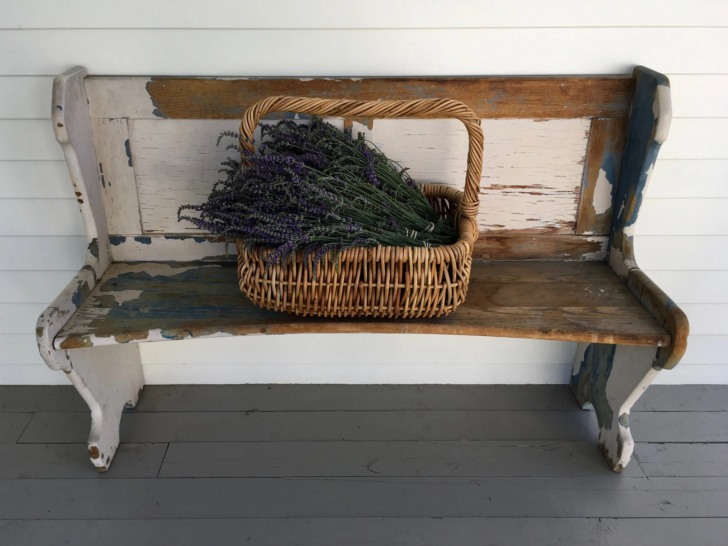 Utah Lavender Farm