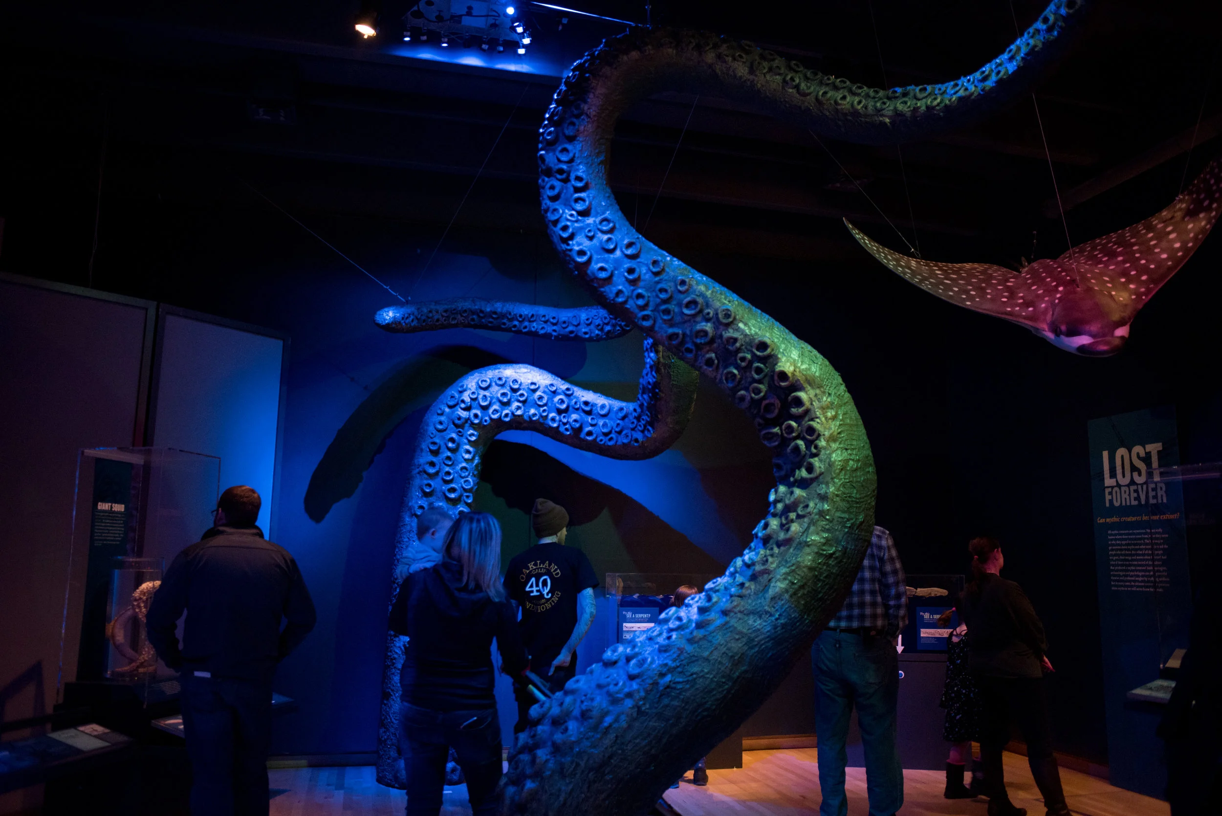 New Years Eve at the Museum-Mrs Motleys Crew 10.jpg